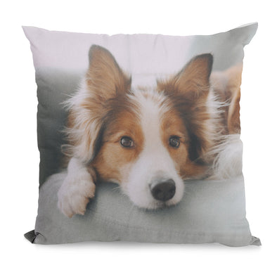 Coussin personnalisé avec texte ou photo MAXI SHIRT